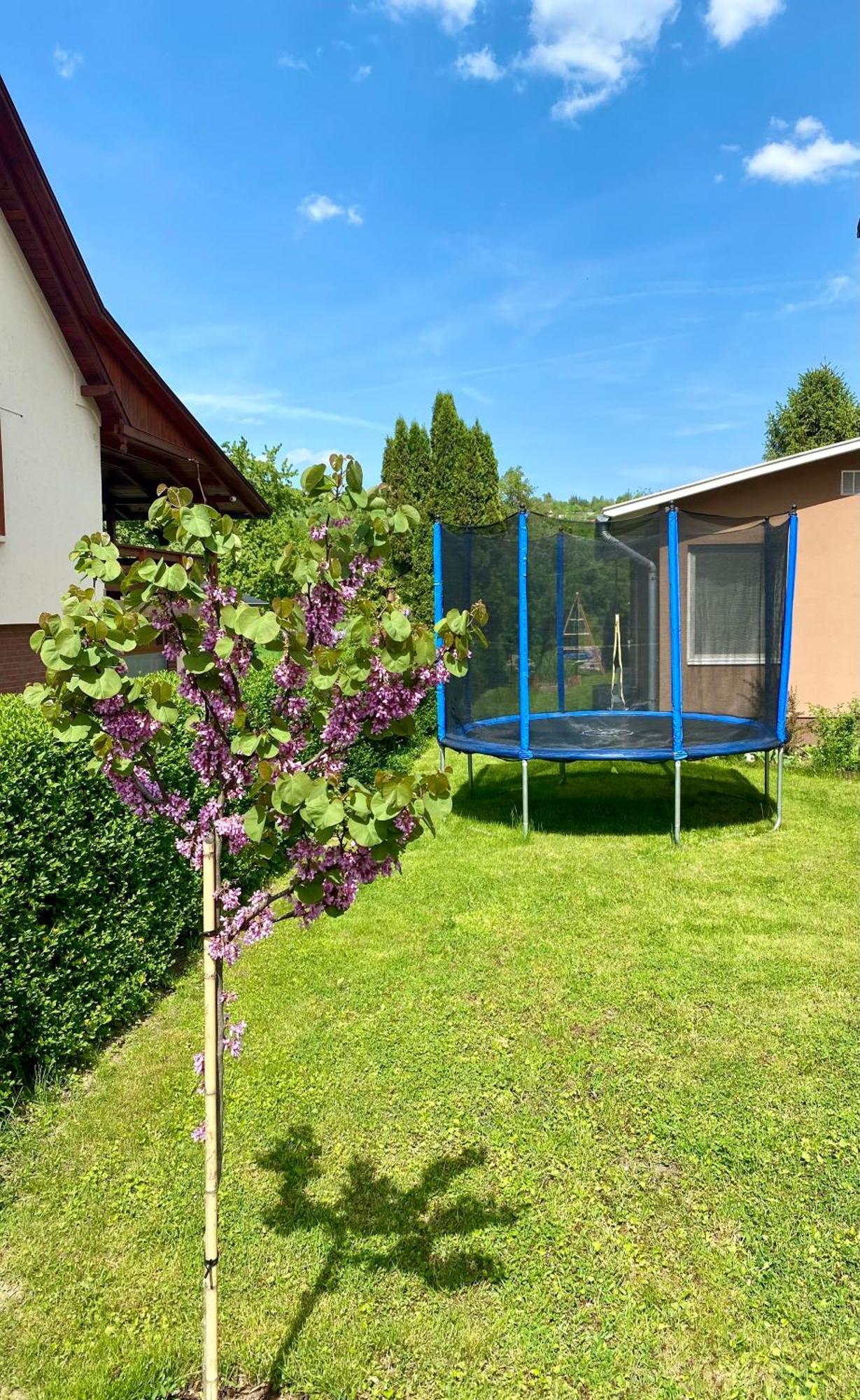Riverside Apartman**** * Miškovec